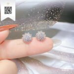 Bông Tai Kim Cương B13659 Trần Dương Daimond Long Ngọc Luxury