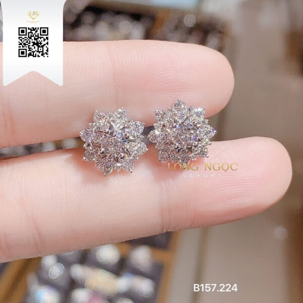 Bông Tai Kim Cương B157224 Dương Trần Daimond