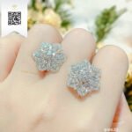 Bông Tai Kim Cương B16823 Trần Dương Daimond Long Ngọc Luxury