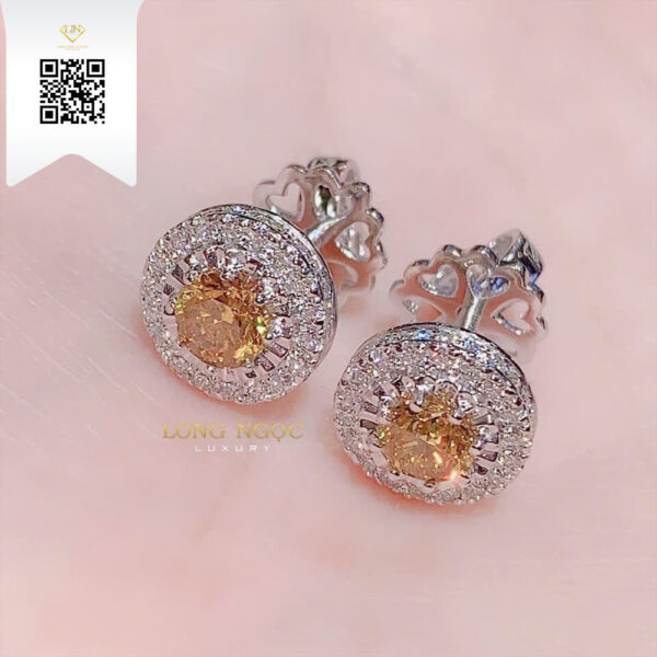 Bông Tai Kim Cương B206238 Dương Trần Daimond
