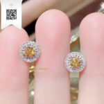 Bông Tai Kim Cương B206238 Long Ngọc luxury