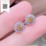 Bông Tai Kim Cương B206238 Trần Dương Daimond Long Ngọc Luxury