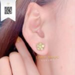Bông Tai Kim Cương B2229 Trần Dương Daimond Long Ngọc Luxury